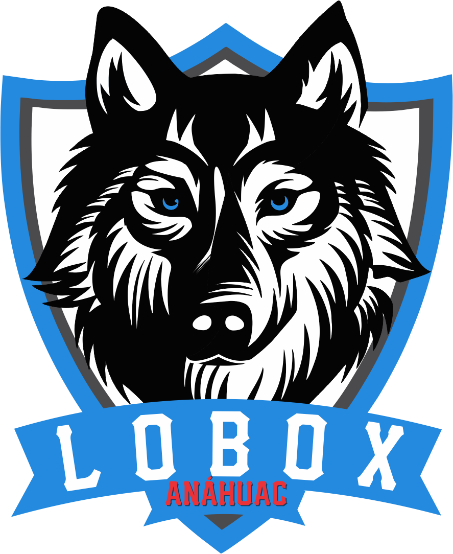 Primera versión digital de Lobox