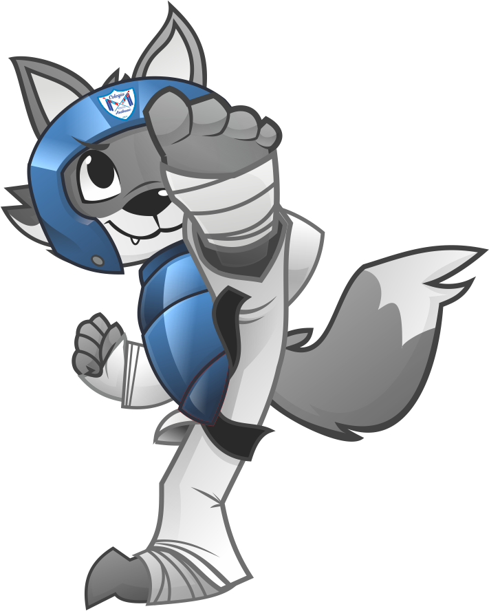 Lobox practicando taekwondo